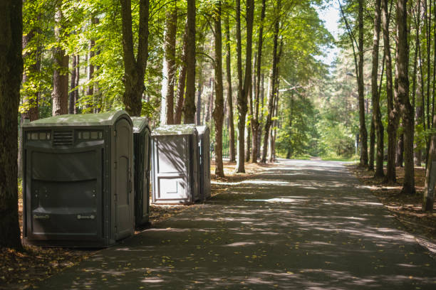 Best Porta potty rental for parties  in Mosinee, WI